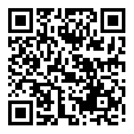 The organisation for production by handicrafts. When. The organisation for production by handicrafts. When.